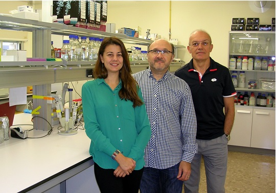 Aquesta imatge mostra els tres membres actuals del grup Genòmica Funcional de Llevat (GFL) que han participat en el treball. D’esquerra a dreta: Adriana Mena, José García i José E. Pérez.